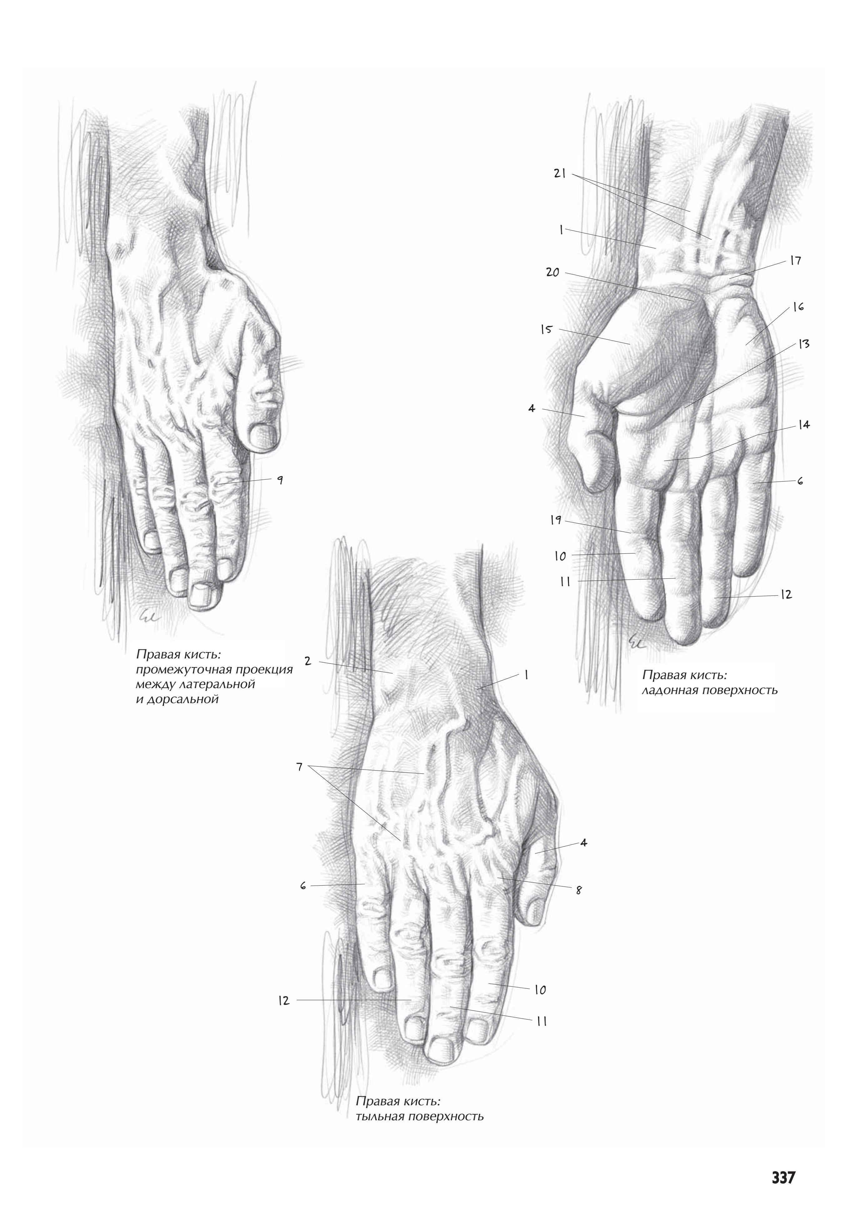 آموزش نقاشی طراحی سیاه قلم شهرری